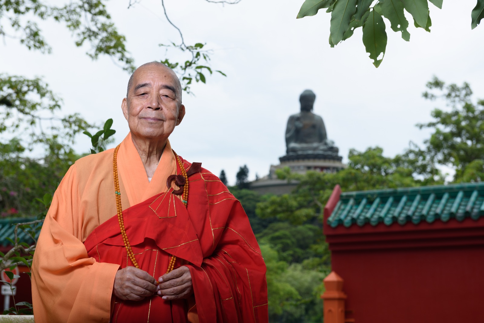 香港佛教联合会荣誉会长智慧长老圆寂，享年86岁